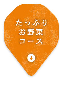 たっぷりお野菜コース