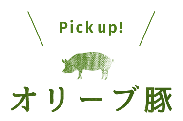 ／Pick up!／オリーブ豚
